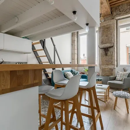Burdeau 1st Arrondissement Appartement Lyon